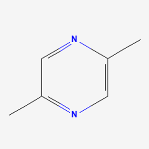 2.5-���׻���ຣ�����/��ϣ�