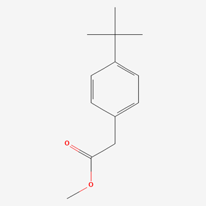 ���嶡�����������