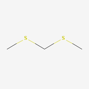 ˫���������