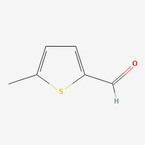 5-�׻�-2-��Լ�ȩ