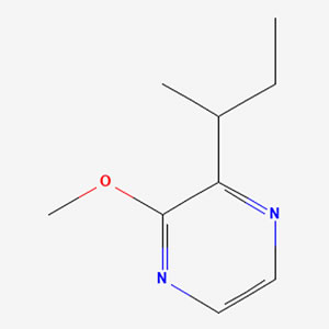 2-������-3-�ٶ������