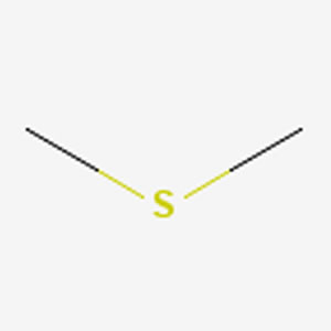 ���׻�������